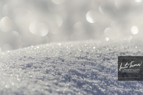 Landscape photography - Beautiful bokeh from the sunshine on glistening landscape in winter. Today the sun shines brightly making the snow sparkle.
© Anita Thomas - Urbanmoon Photography. All Rights Reserved. snowbank macro