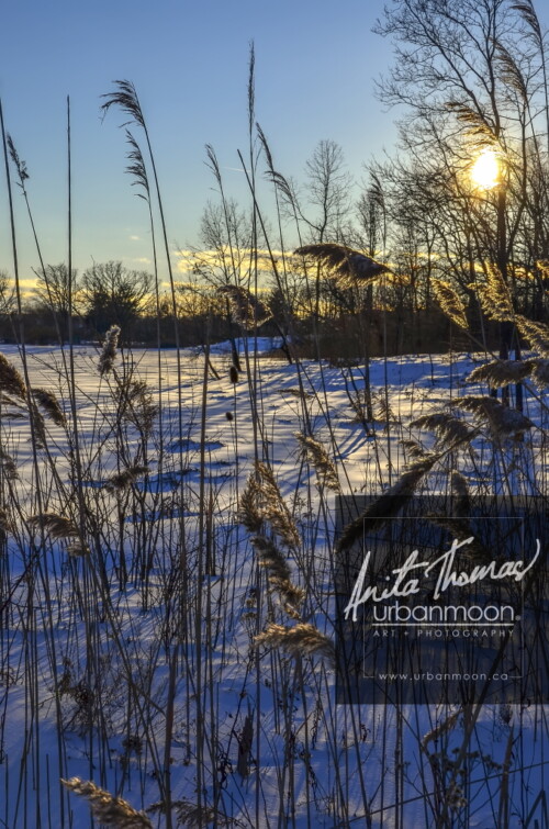 Landscape photography - A couple of days after Christmas and the field is covered in snow. The sun hangs low in the sky as it prepares to set on another day.
© Anita Thomas - Urbanmoon Photography. All Rights Reserved. snowy field at dusk