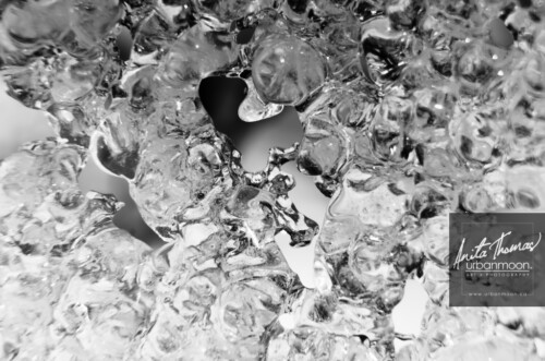Black and white photography - A sheet of textured ice in winter.
© Anita Thomas - Urbanmoon. All Rights Reserved. textured ice