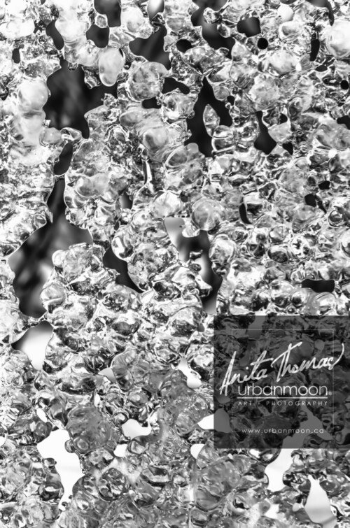 Black and white photography - A sheet of textured ice in winter.
© Anita Thomas - Urbanmoon. All Rights Reserved. textured ice