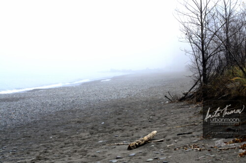 Landscape photography - The beach in Hamilton at Lake Ontario
(C)Anita Thomas All Rights Reserved. the beach in hamilton