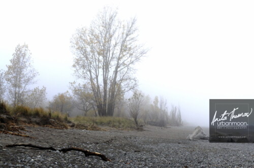 Landscape photography - The beach in Hamilton at Lake Ontario
(C)Anita Thomas All Rights Reserved. the beach in hamilton