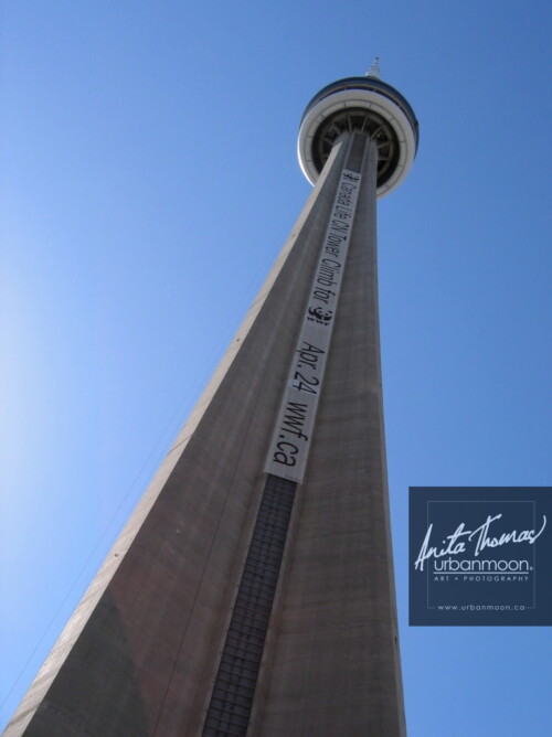 Urban photography - Toronto, Ontario, Canada
© Anita Thomas - Urbanmoon Photography. All Rights Reserved. the cn tower