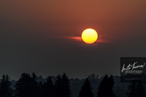 Landscape photography - The setting sun over a treeline.
(C)Anita Thomas All Rights Reserved. the setting sun over a treeline