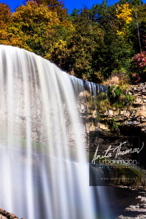 Nature photography - Webster's Falls, Hamilton, Ontario
© Anita Thomas - Urbanmoon. All Rights Reserved. webster falls hamilton