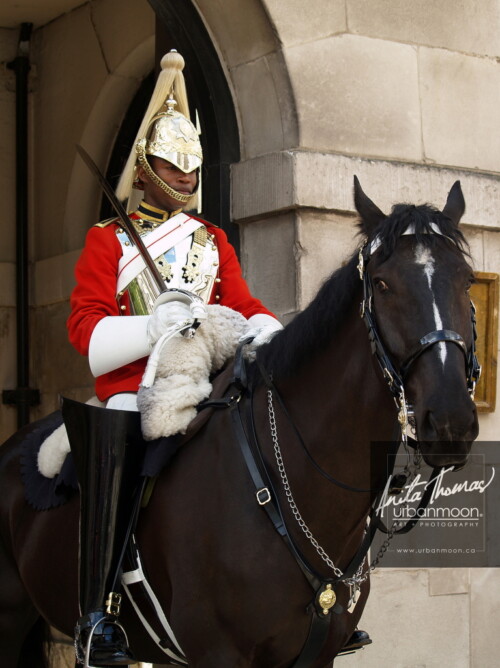 Urban photography - A guard and his horse at Whitehall in London, England.
© Anita Thomas - Urbanmoon Photography. All Rights Reserved. whitehall guard and horse london england