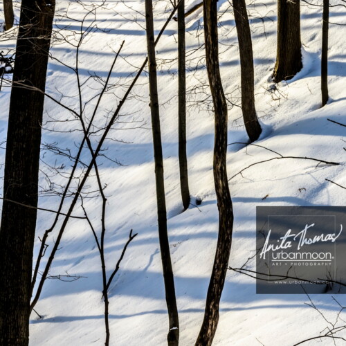 Nature photography - Winter at Tiffany Creek, Hamilton
© Anita Thomas - Urbanmoon. All Rights Reserved. winter at tiffany creek hamilton