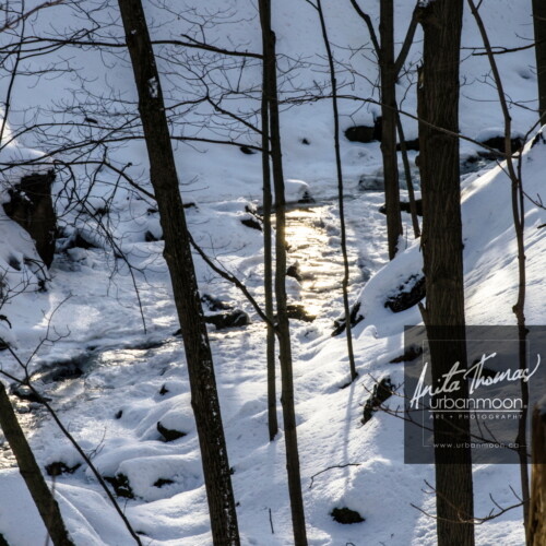 Nature photography - Winter at Tiffany Creek, Hamilton
© Anita Thomas - Urbanmoon. All Rights Reserved. winter at tiffany creek in hamilton