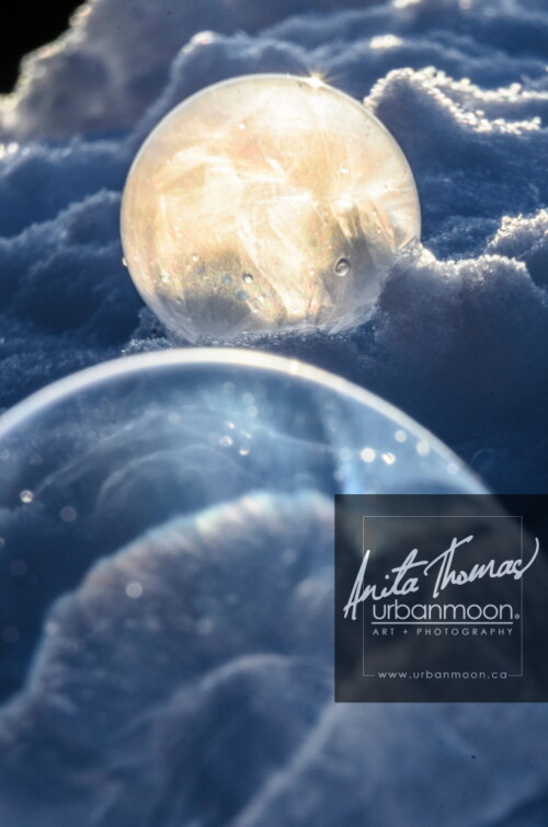 Landscape photography - Winter's last bubble. As the pretty fluffy stuff starts to melt off, we're left with crusty, frozen snow. The pretty scenes we've had all winter will soon be behind us.
© Anita Thomas - Urbanmoon Photography. All Rights Reserved. winter last frozen bubble