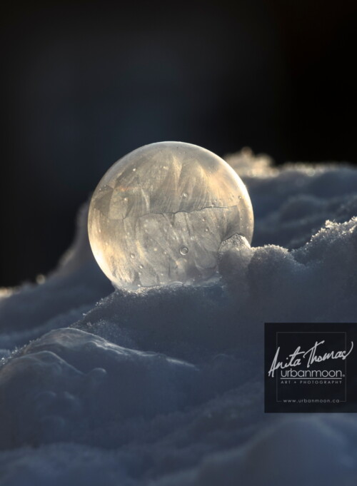 Landscape photography - Winter's last bubble. As the pretty fluffy stuff starts to melt off, we're left with crusty, frozen snow. The pretty scenes we've had all winter will soon be behind us.
© Anita Thomas - Urbanmoon Photography. All Rights Reserved. winter last frozen bubble