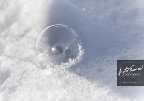 Landscape photography - Winter's last bubble. As the pretty fluffy stuff starts to melt off, we're left with crusty, frozen snow. The pretty scenes we've had all winter will soon be behind us.
© Anita Thomas - Urbanmoon Photography. All Rights Reserved. winter last frozen bubble