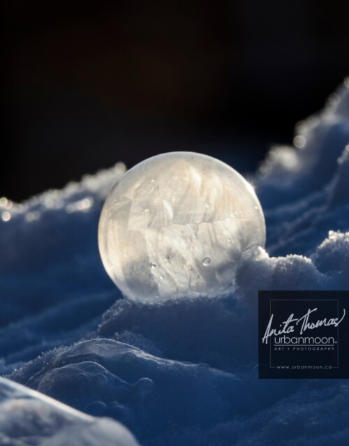 Landscape photography - Winter's last bubble. As the pretty fluffy stuff starts to melt off, we're left with crusty, frozen snow. The pretty scenes we've had all winter will soon be behind us.
© Anita Thomas - Urbanmoon Photography. All Rights Reserved. winter last frozen bubble