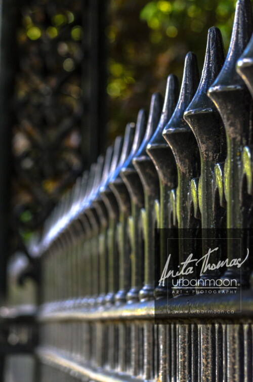 Urban photography - London, England
© Anita Thomas - Urbanmoon Photography. All Rights Reserved. wrought iron fence